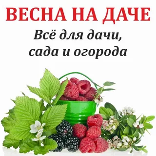 Выставка - Весна на даче. Краснодар